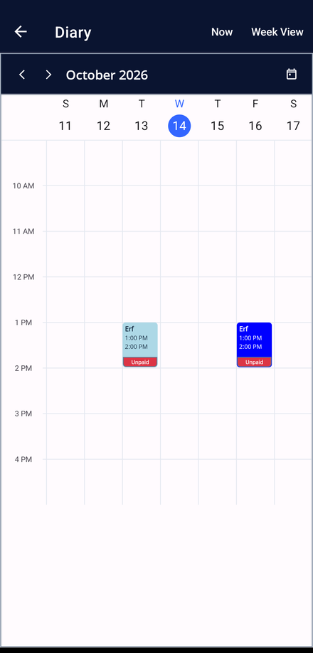 The instructor diary in the Driving Instructor Manager app